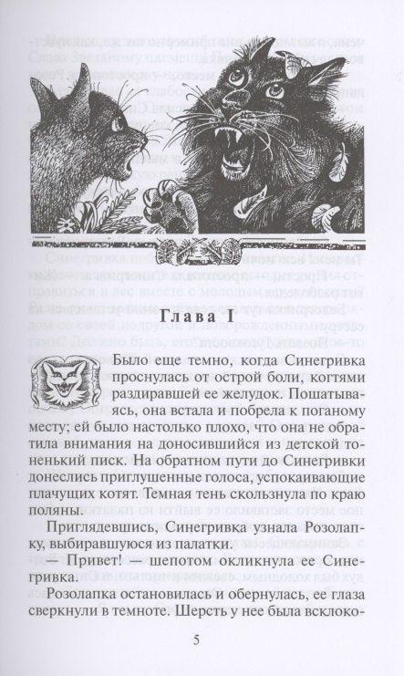 Пророчество Синей Звезды. Выбор