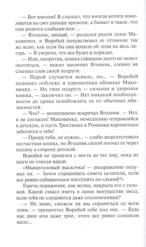 Четврти штитоноша