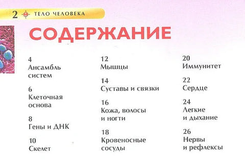 Људско тело