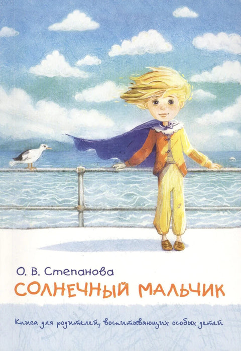 Солнечный мальчик: книга для родителей, воспитывающих особых детей