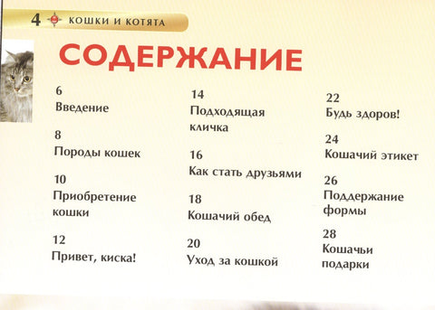 Мачке и мачићи. Дечја енциклопедија