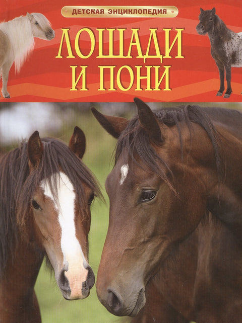 Лошади и пони