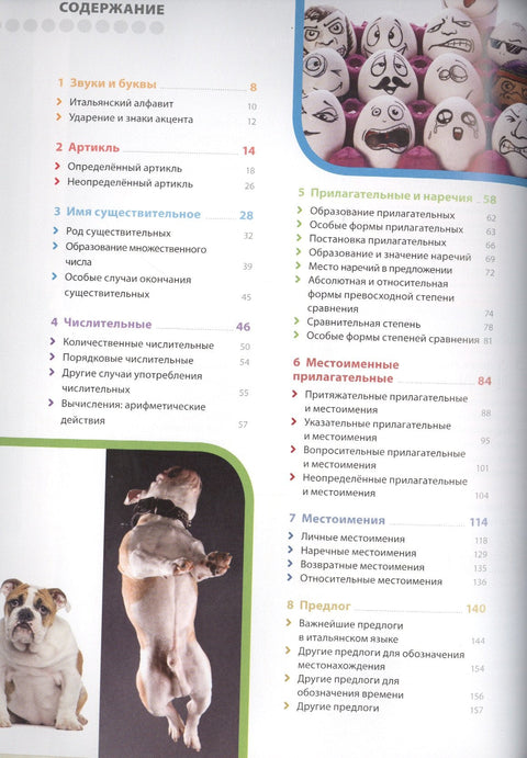 Итальянский язык. Иллюстрированная грамматика