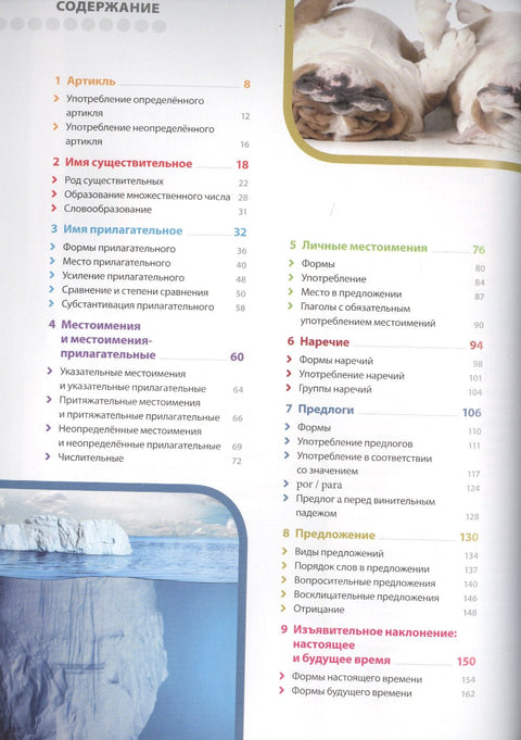 Испанский язык. Иллюстрированная грамматика