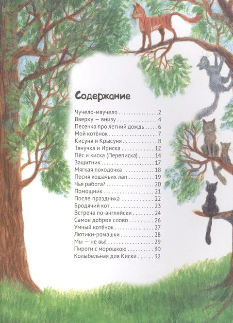 Чучело-мяучело (илл. Хоревой) (7,8 изд) (м) Яснов