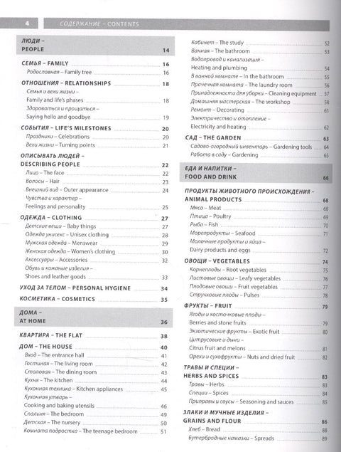 Английский язык. Иллюстрированный словарь+приложение