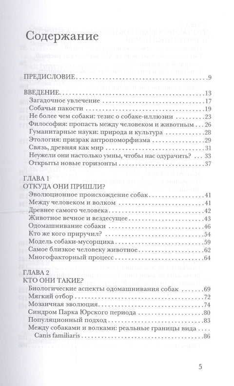 Люди и собаки