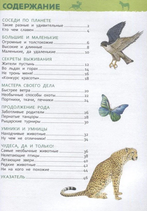 Удивительные животные. Энциклопедия для детского сада