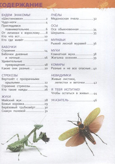 Инсекти. Енциклопедија за вртић
