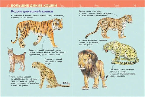 Кошки и котята. Энциклопедия для детского сада