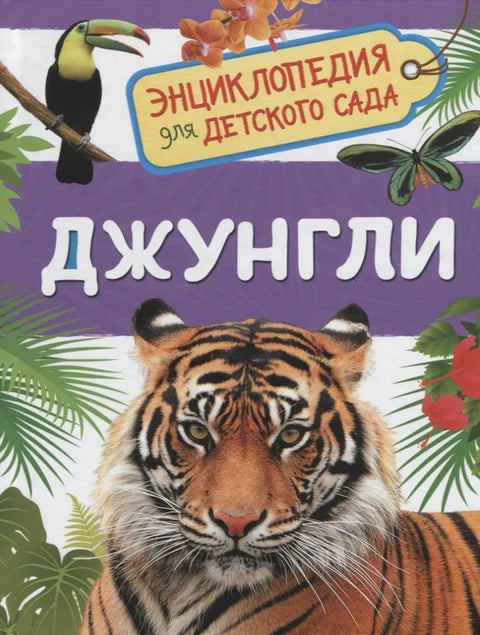 Џунгла