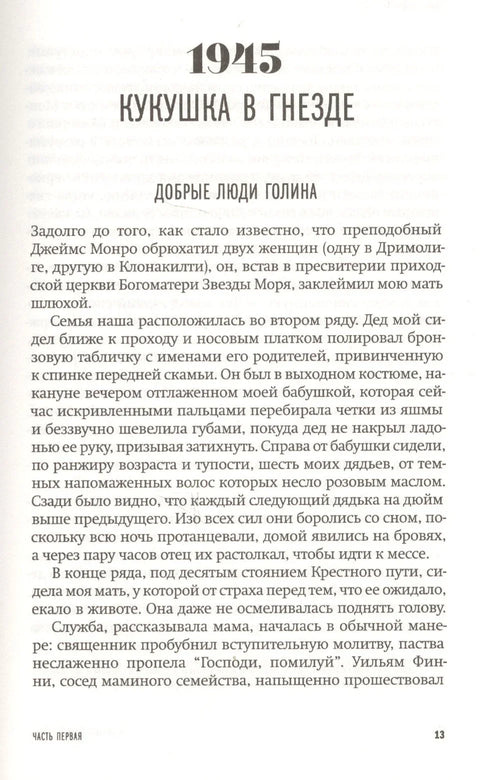 Невидљиве фурије срца: Роман