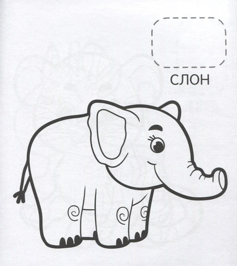 Удивительные животные