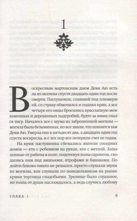 Красота-это горе: роман