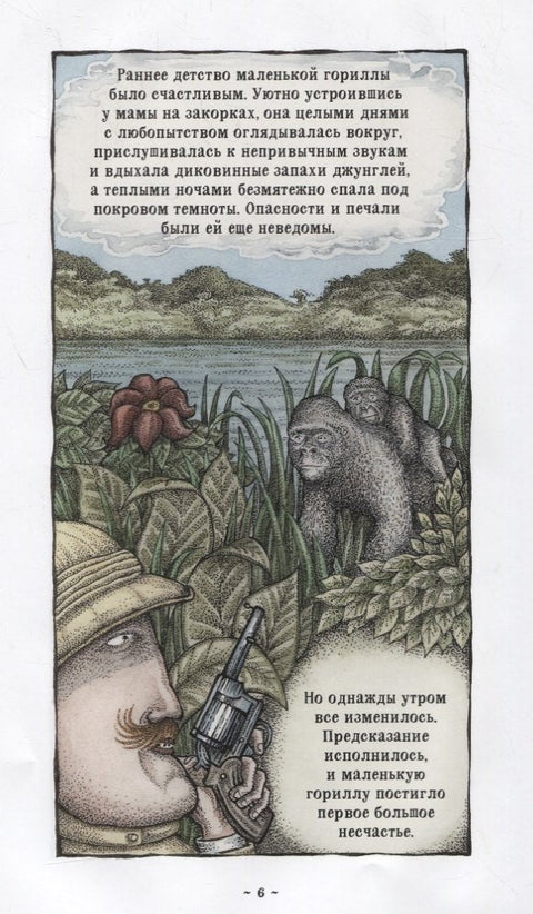 Легенда о Салли Джонс