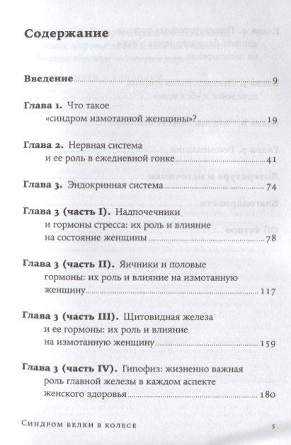 Синдром белки в колесе: Как сохранить здоровье и сберечь нервы в мире бесконечных дел