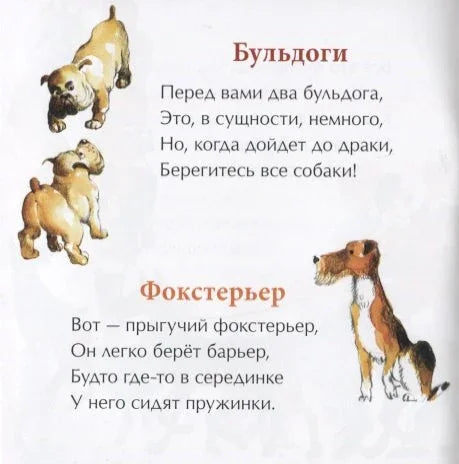 День рождения собаки