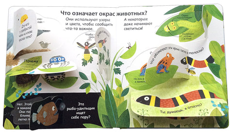 Как говорят животные