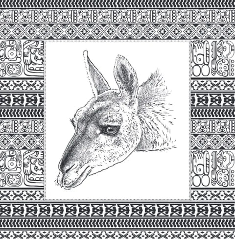 Ламы. Раскраска-антистресс для творчества и вдохновения