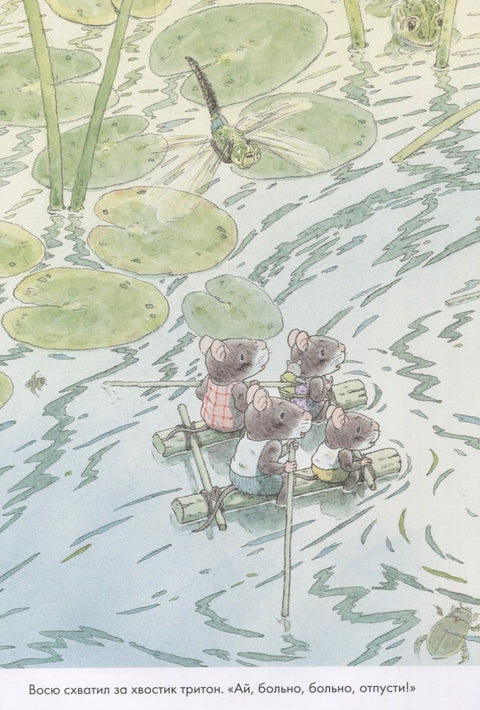 14 лесных мышей. Стрекозиный пруд