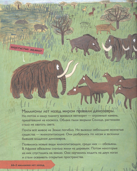Историја људи. Моја прва књига о човечанству