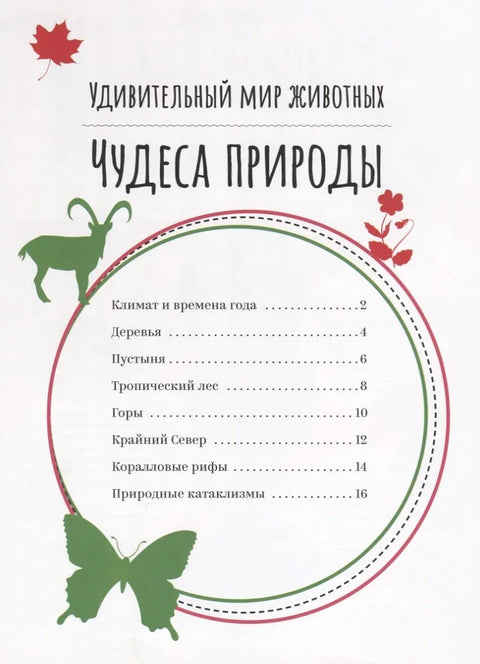 Чудеса природы