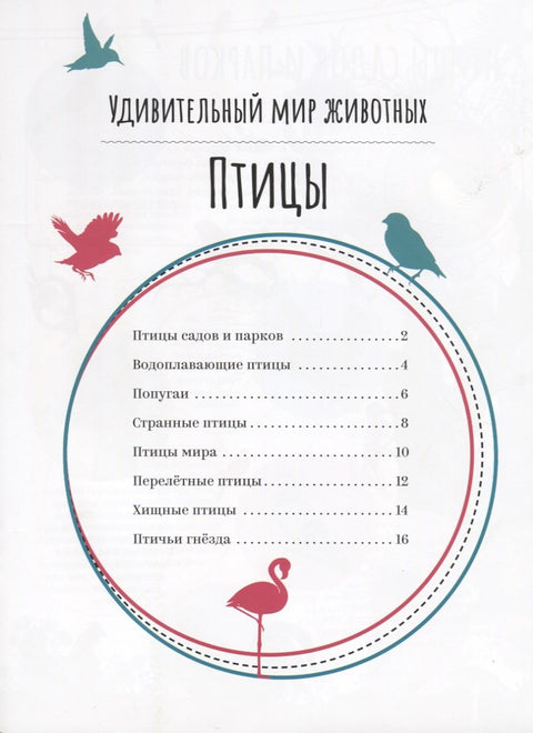 Птицы