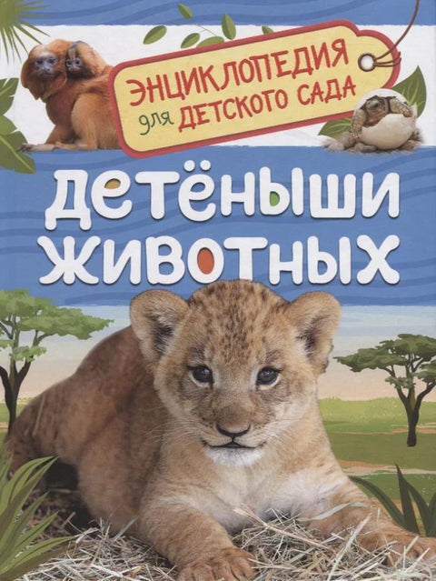 Бебе животиња