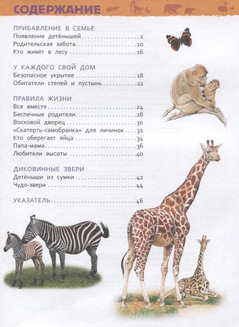 Бебе животиња