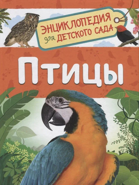 Птице