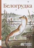 Белогрудка