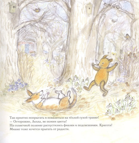 Пролећни медвед Бруно
