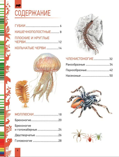 Животиње. Велика енциклопедија