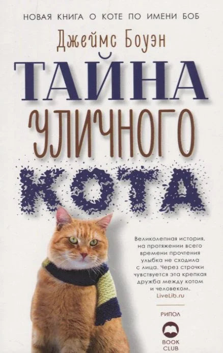 Мистерија уличне мачке
