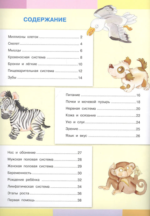 Тело человека. Моя первая энциклопедия с наклейками