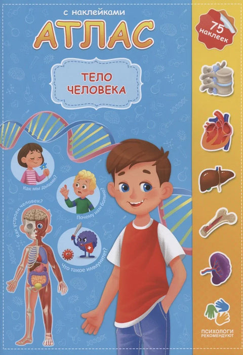 Атлас с наклейками. Тело человека