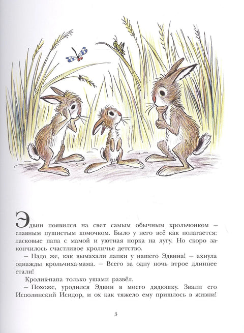 Большой Эдвин