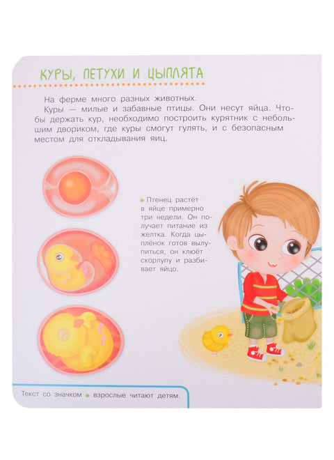 Что? Почему? Зачем? Домашние животные. 50 волшебных окошек