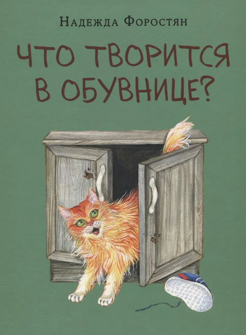 Что творится в обувнице?