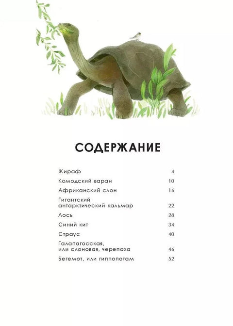 Животные-гиганты