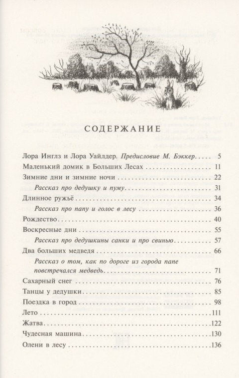 Мала кућа у великој шуми Мала кућа