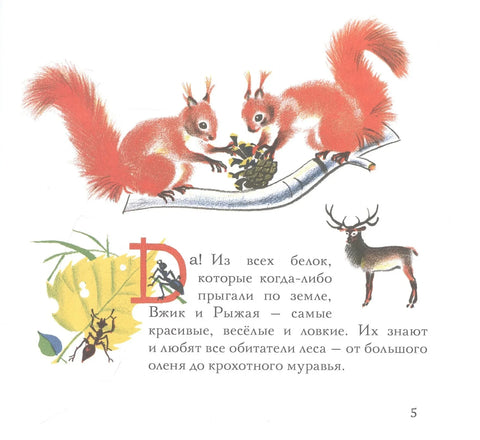 Веверица Томбој