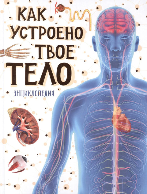 Как устроено твое тело. Энциклопедия