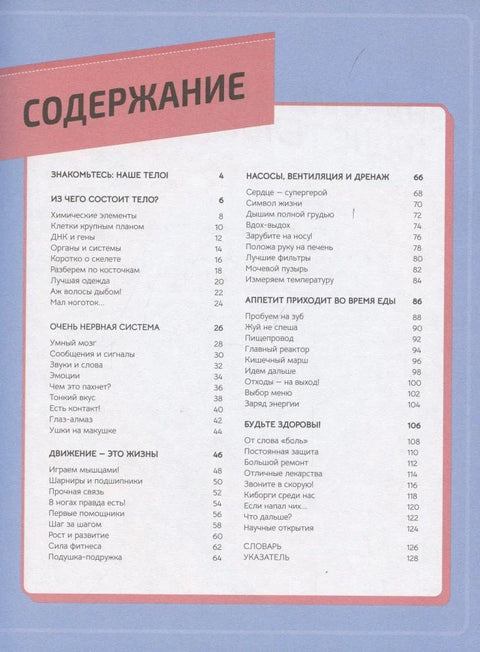 Тело человека. Инфографика