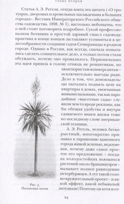 Пасифлора, или прозорске даске из Санкт Петербурга