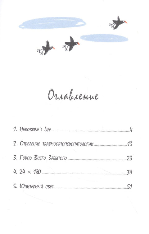 Мишангео. Прича