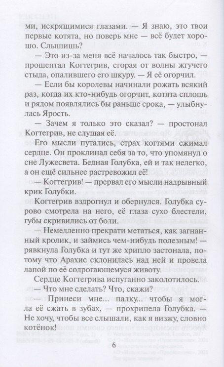 Тень Когтегрива. Книга 2. Возвращение