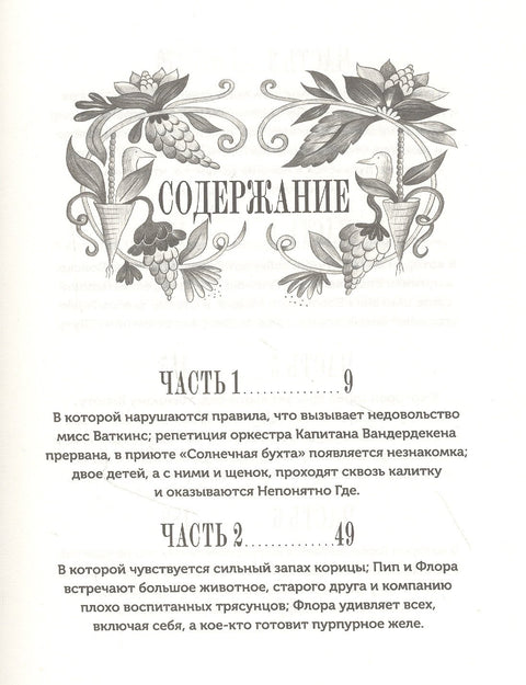 Изумительная Страна Снергов