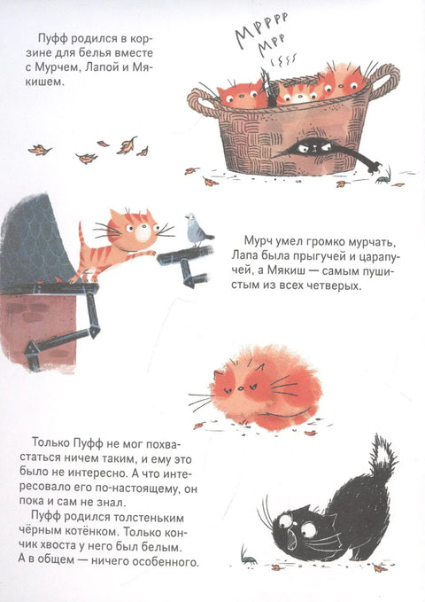 Вештица Брунхилда и њена мачка. Први лет