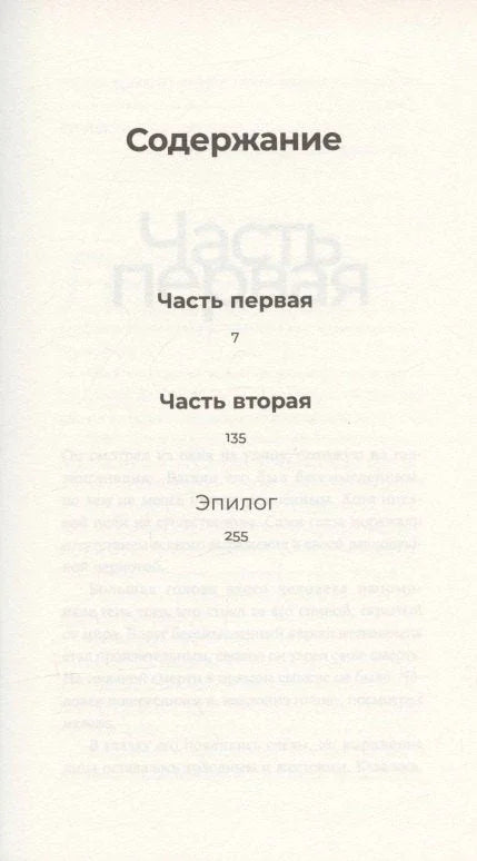 Другой: роман